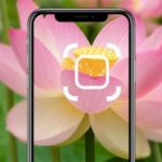 Know it all: Powerful Apps to Identify Everything Around You