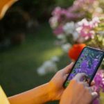 Descubra qual é a planta com o aplicativo para identificar plantas