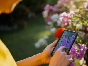 aplicativo para identificar plantas